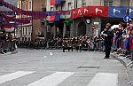 Gara delle Bighe 2011-7746